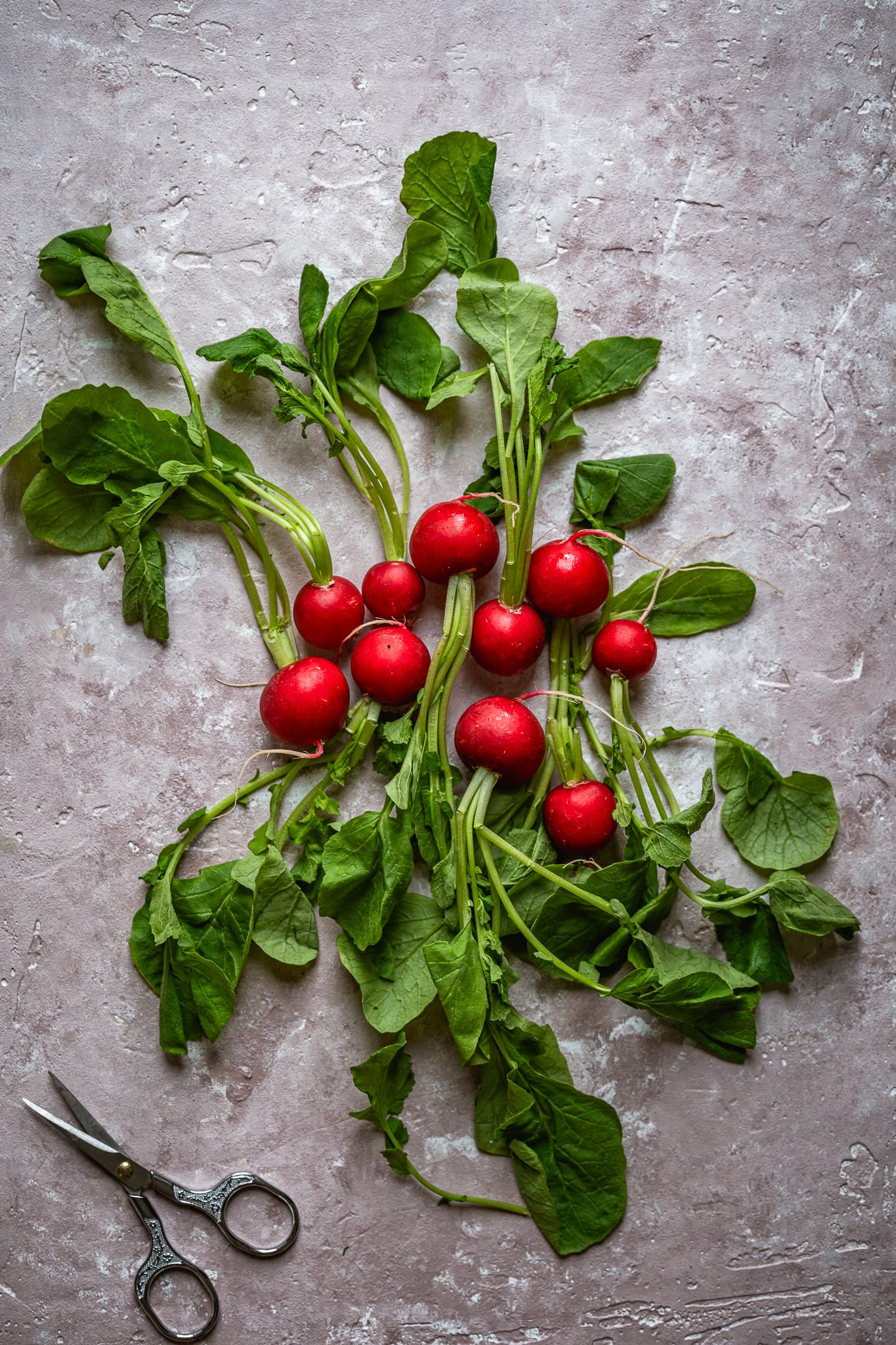 Wyzwanie Fotograficzne na Instagramie