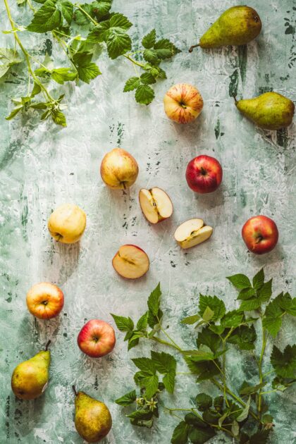 Tło Fotograficzne Greenfield