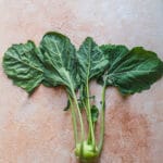 Tło Fotograficzne Peach