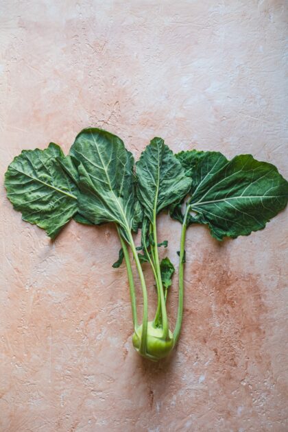 Tło Fotograficzne Peach