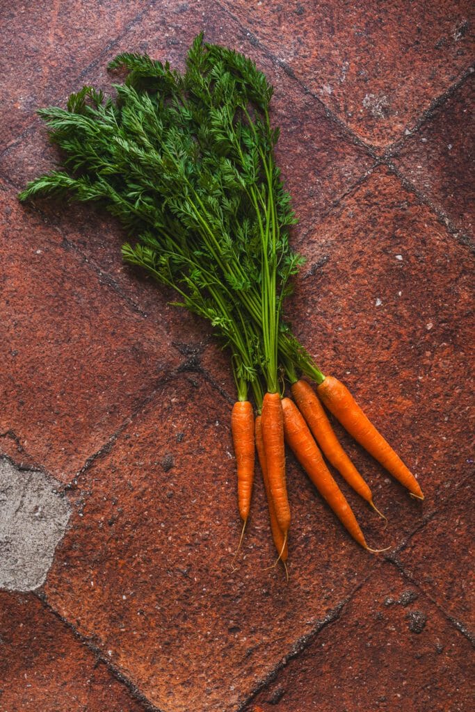 Tło Fotograficzne Siempre