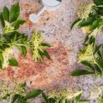 Tło Fotograficzne Cuando