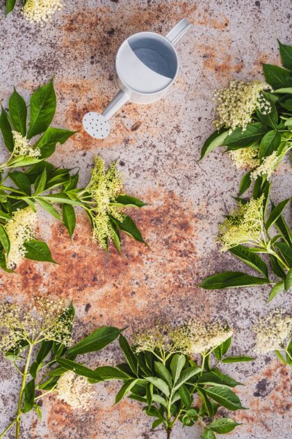 Tło Fotograficzne Cuando