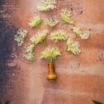 Tło Fotograficzne Sobrenatural