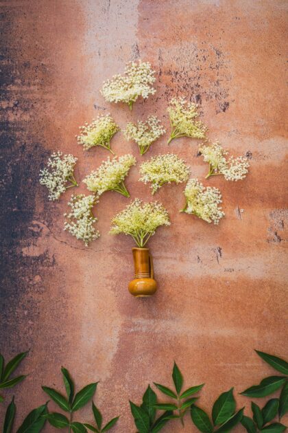 Tło Fotograficzne Sobrenatural