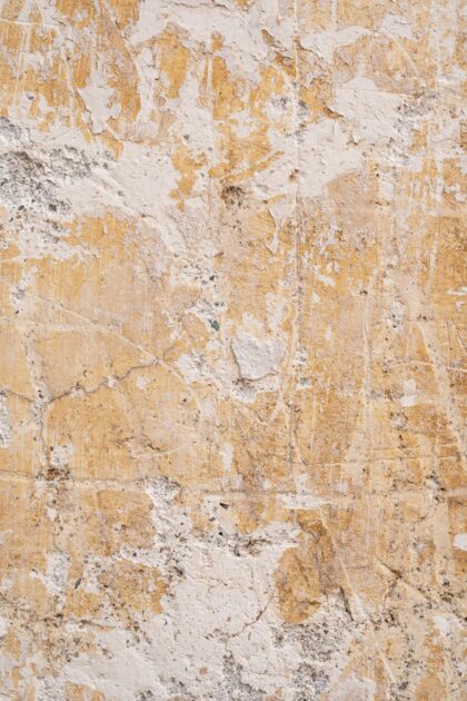 Tło Fotograficzne Belleza