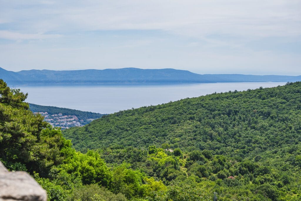Widok Istria Kolekcja Teł