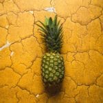 Tło Fotograficzne Popularan