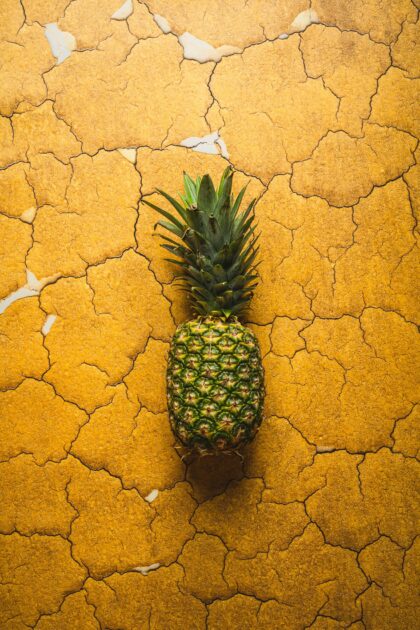 Tło Fotograficzne Popularan