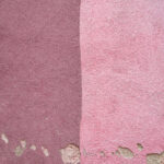 Tło Fotograficzne Jagoda