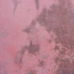 Tło Fotograficzne Vjetrova