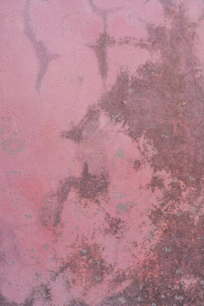 Tło Fotograficzne Vjetrova