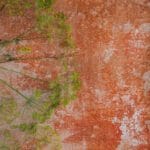 Tło Fotograficzne Crveni Zid