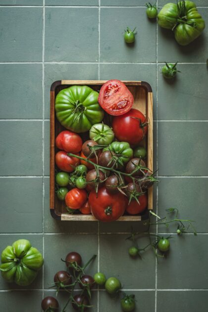 Tło Fotograficzne Herbal Tiles