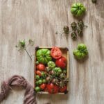 Tło Fotograficzne Vintage Lines