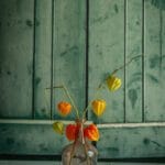 Tło Fotograficzne Vintage Green Door