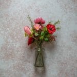 Tło Fotograficzne Soft Elegance