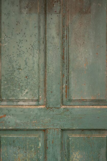 Tło Fotograficzne Timeless Entry