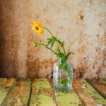 Tło Fotograficzne Desierto de sal