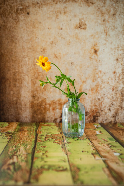 Tło Fotograficzne Desierto de sal