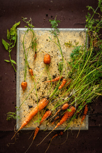 Deska Vintage Rustica