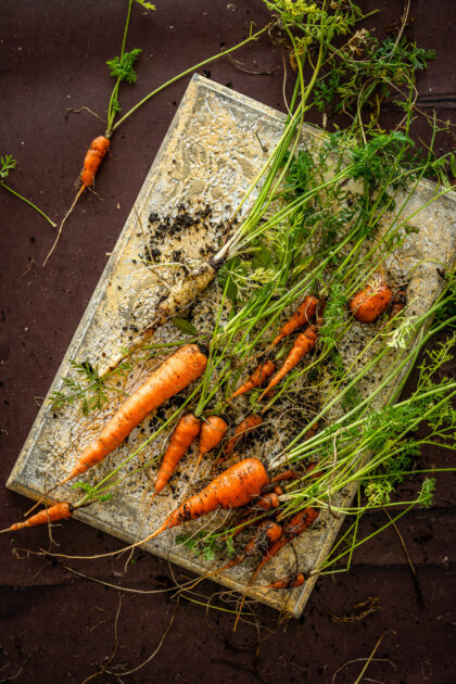 Deska Vintage Memoir