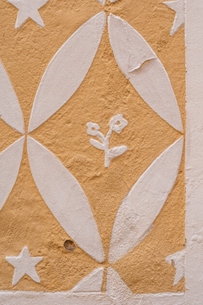 Tło Fotograficzne Sangria