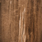 Tło Fotograficzne Aspen