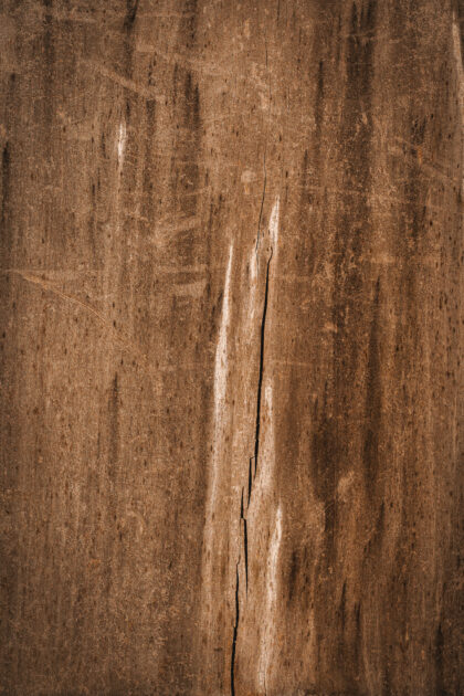 Tło Fotograficzne Aspen