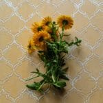 Tło Fotograficzne Poetic