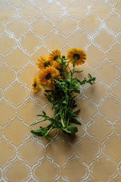 Tło Fotograficzne Poetic