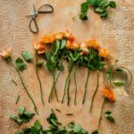 Tło Fotograficzne Artisan Peach