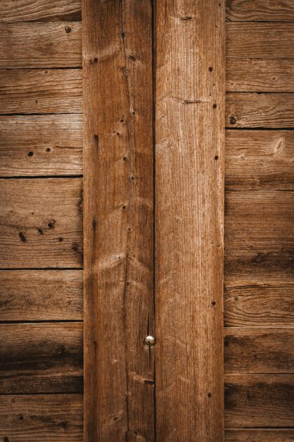 Tło Fotograficzne Elm