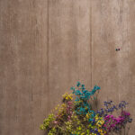 Tło Fotograficzne Wooden Floor