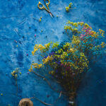 Tło Fotograficzne Blueberry