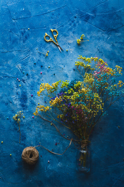 Tło Fotograficzne Blueberry