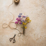 Tło Fotograficzne Frappe