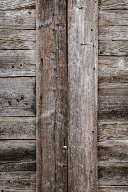 Tło Fotograficzne Elm Gray