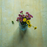 Tło Fotograficzne Daydream