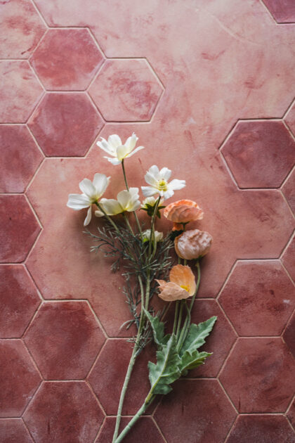 Tło Fotograficzne Maple Leaf Red