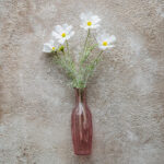 Tło Fotograficzne Oatmeal