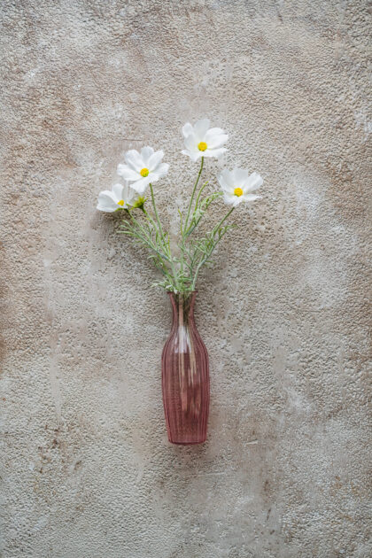 Tło Fotograficzne Oatmeal