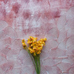 Tło Fotograficzne Arroyo