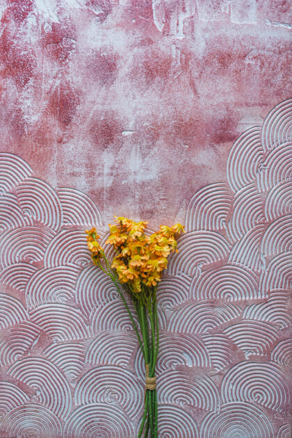 Tło Fotograficzne Arroyo