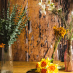 Tło Fotograficzne Zalazak