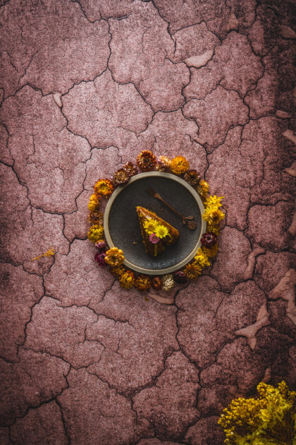 Tło Fotograficzne Bore