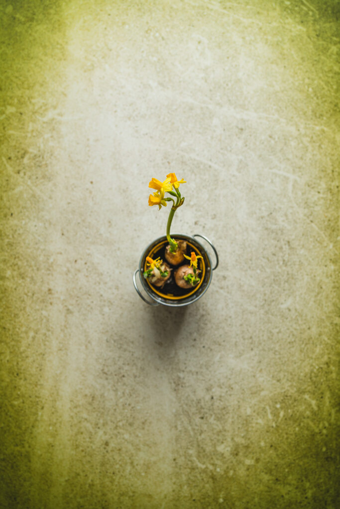 Tło Fotograficzne Eden Stone