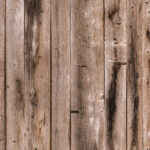 Tło Fotograficzne Drvo