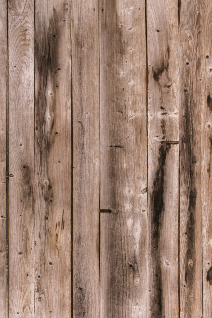 Tło Fotograficzne Drvo