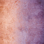 Tło Fotograficzne Mora